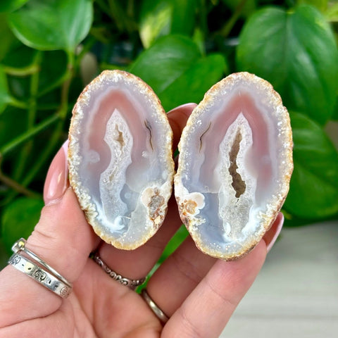 Pink and white agate geode pair, held in hands against green foliage.