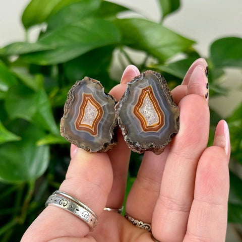 Two small, polished agate pairs with natural brown, orange, and white bands held against green leaves.