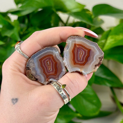 Two polished agate pairs, each with concentric orange, white, and brown bands, held in a hand.