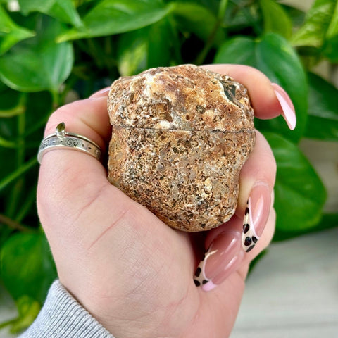 Rough brown agate geode pair held in a hand, showing natural texture.