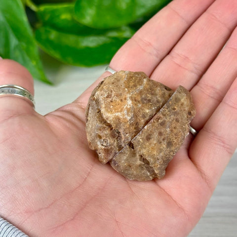 Rough brown agate pair held in a hand, showing natural texture and split design.