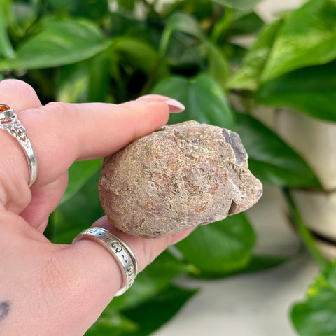 Rough brown agate nodule held in hand against green leaves.