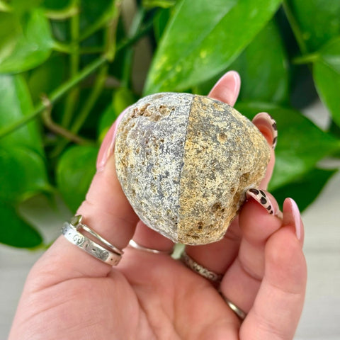 Rough, natural agate pair with one half light gray and the other golden brown, held in hand.