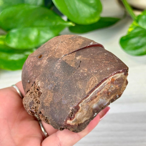 Rough brown agate geode half with a polished reddish-brown and white crystal interior, held in hand.