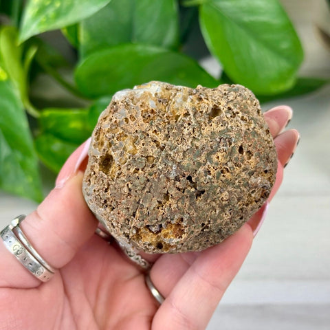 Rough brown and tan agate geode held in a hand, with green leaves in the background.