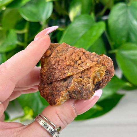 Botryoidal agate pair, rough brown stone with bubbly texture, held in hand.