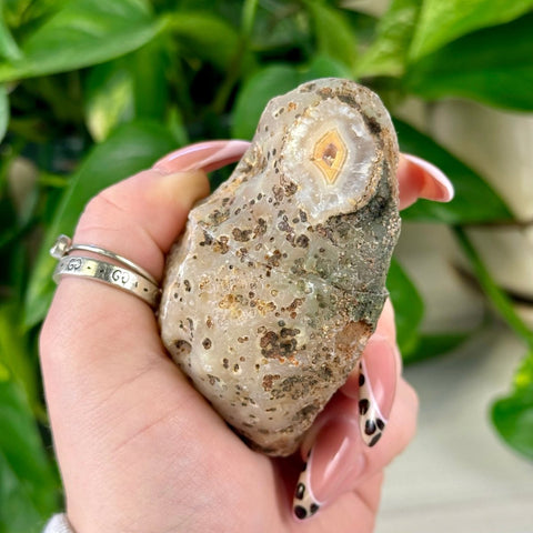 Natural agate pair with a unique eye-like pattern, earthy tones, and speckled texture.