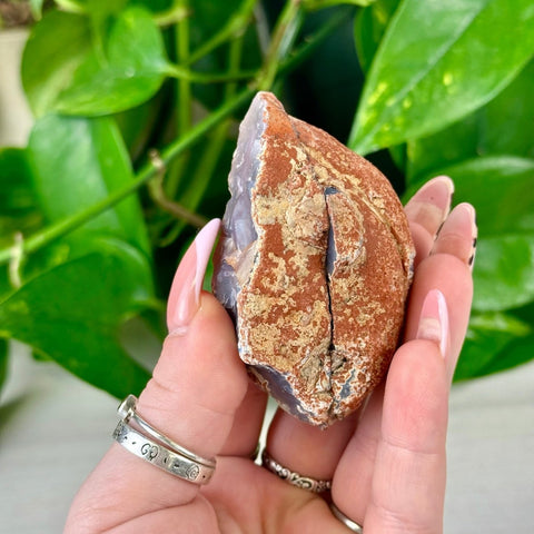 Rough brown and purple agate pair held in a hand with green plant background.