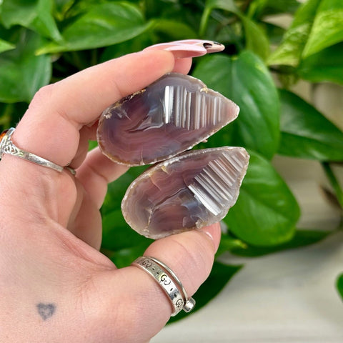 Hand holding two polished purple and white agate slices, showing natural banding.