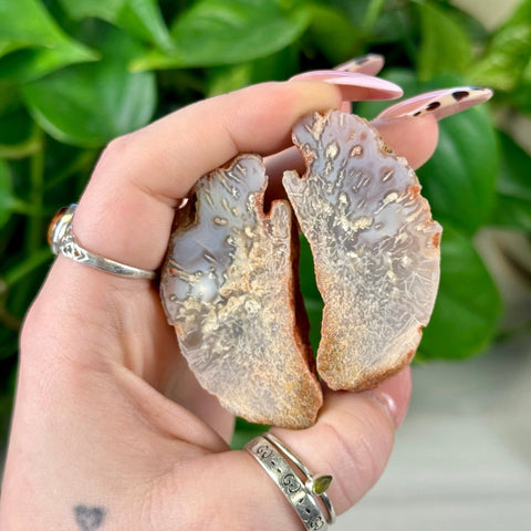 Two natural agate slices, light grey with white crystalline patterns and earthy brown edges, held in a hand.