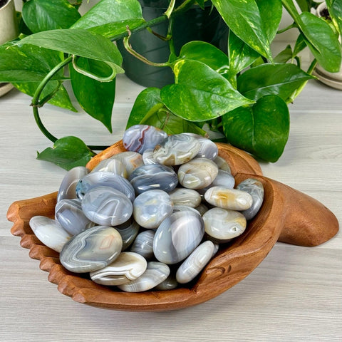 Agate Palm Stone 11 3 - Kenna's Crystals from TikTok