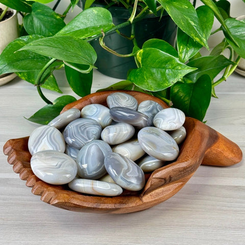 Agate Palm Stone 22 4 - Kenna's Crystals from TikTok