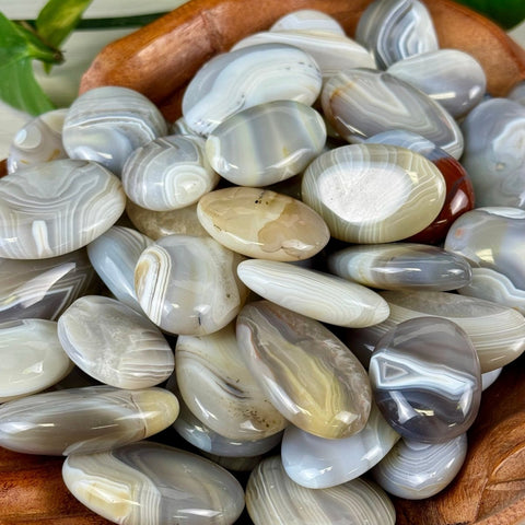 Agate Palm Stone 22 5 - Kenna's Crystals from TikTok