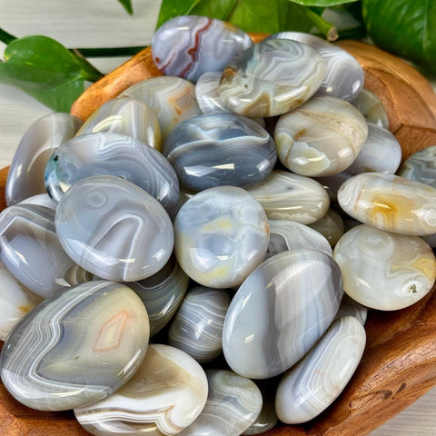 Agate Palm Stone 22 6 - Kenna's Crystals from TikTok