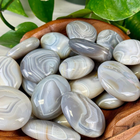Agate Palm Stone 22 7 - Kenna's Crystals from TikTok