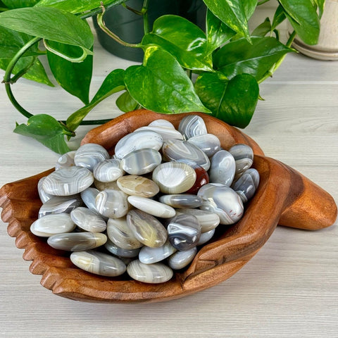 Agate Palm Stone 8 1 - Kenna's Crystals from TikTok