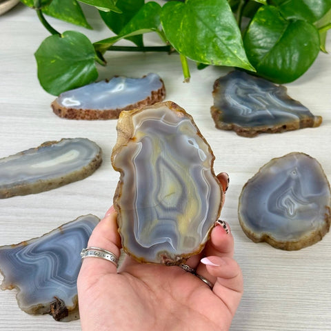 Agate Slice 11 3 - Kenna's Crystals from TikTok