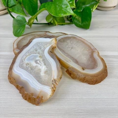 Agate Slice 44 4 - Kenna's Crystals from TikTok