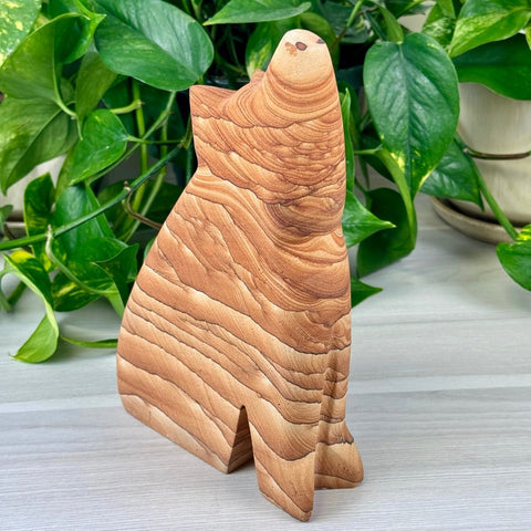 Allie The Wolf 1 - Kenna's Crystals from TikTok