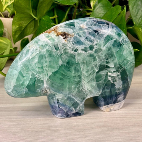 Amari The Bear 1 - Kenna's Crystals from TikTok