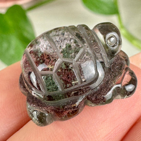 Amazing Mini Garden Quartz Turtle 55 1 - Kenna's Crystals from TikTok