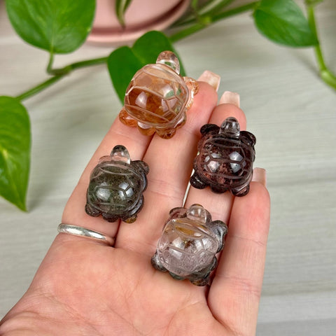 Amazing Mini Garden Quartz Turtle 55 2 - Kenna's Crystals from TikTok