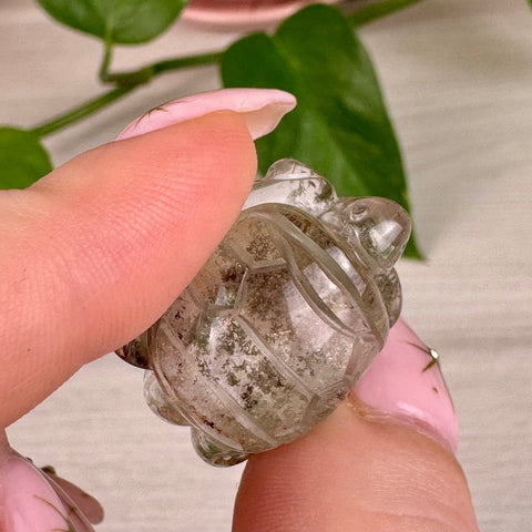 Amazing Mini Garden Quartz Turtle 55 4 - Kenna's Crystals from TikTok