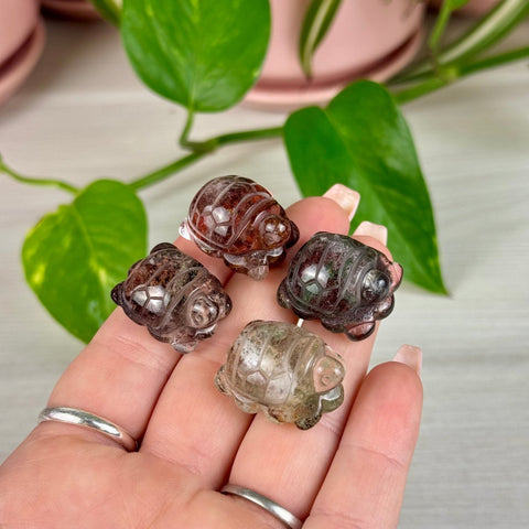 Amazing Mini Garden Quartz Turtle 66 5 - Kenna's Crystals from TikTok