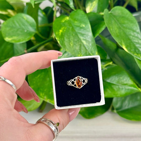 Amber Ring Size 10 - Celtic 5 - Kenna's Crystals from TikTok