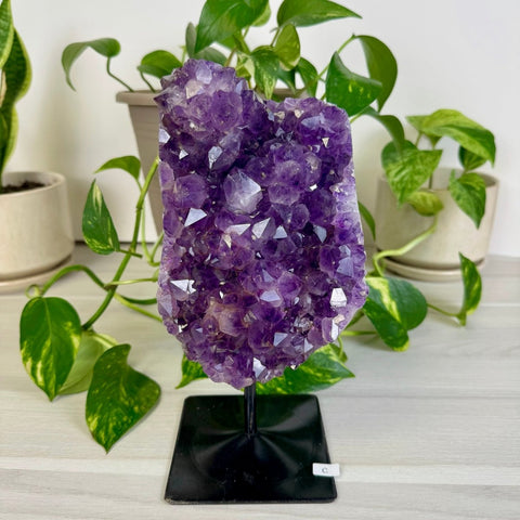Amethyst Cluster with Custom Stand C 4 - Kenna's Crystals from TikTok