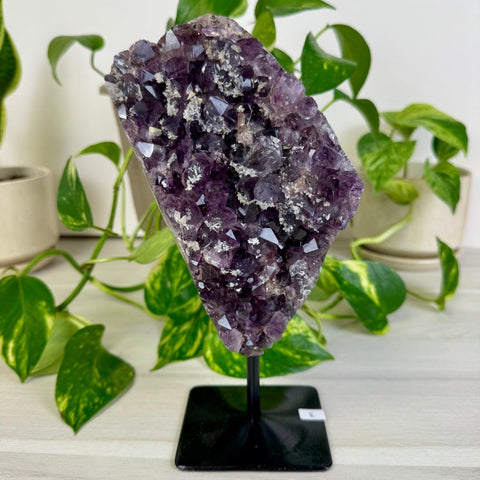 Amethyst Cluster with Custom Stand E 6 - Kenna's Crystals from TikTok