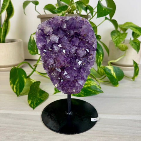 Amethyst Cluster with Custom Stand F 7 - Kenna's Crystals from TikTok