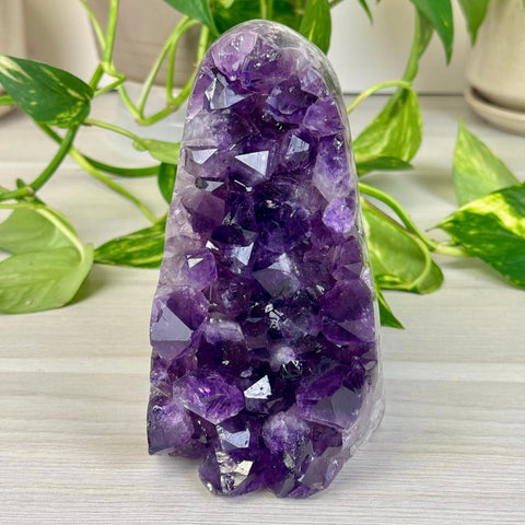 Amethyst Cut Base 322 16 - Kenna's Crystals from TikTok