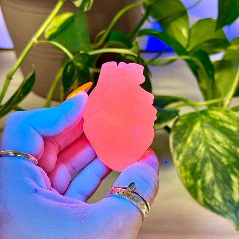 Anatomical Heart Carving Mangano Calcite (UV Reactive) 3 - Kenna's Crystals from TikTok