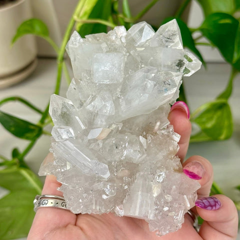 Apophyllite Cluster 155 10 - Kenna's Crystals from TikTok