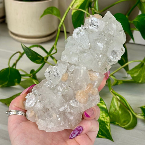 Apophyllite Cluster 211 11 - Kenna's Crystals from TikTok