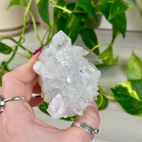 Apophyllite Cluster 99 8 - Kenna's Crystals from TikTok