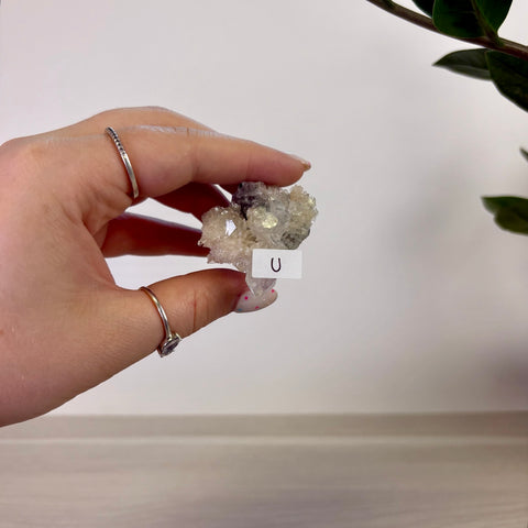 Apophyllite on Black Chalcedony