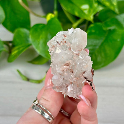 Apophyllite with Heulandite Inclusions 35 3 - Kenna's Crystals from TikTok