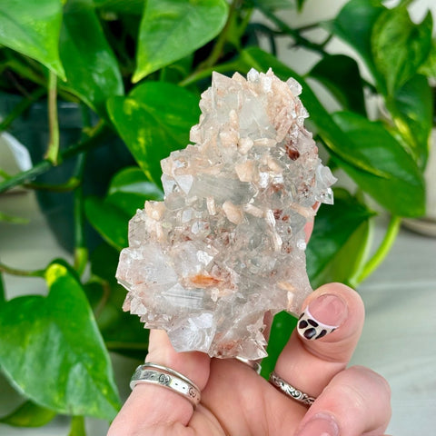 Apophyllite with Heulandite Inclusions 85 7 - Kenna's Crystals from TikTok