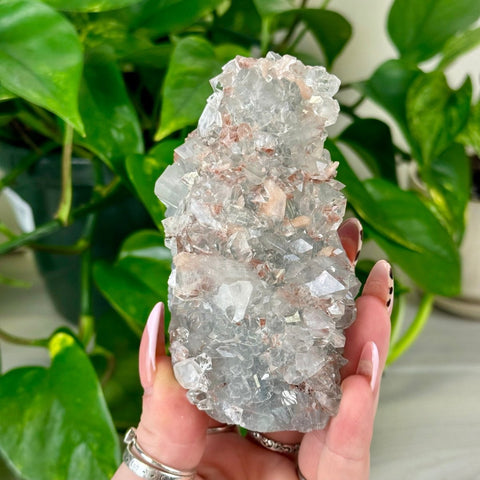 Apophyllite with Heulandite Inclusions 95 8 - Kenna's Crystals from TikTok