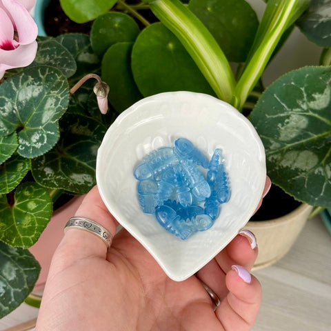 Aquamarine Fish Bone Carving 22 2 - Kenna's Crystals from TikTok