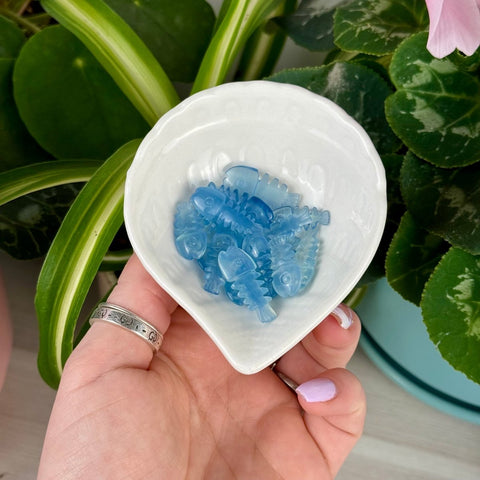 Aquamarine Fish Bone Carving 33 1 - Kenna's Crystals from TikTok