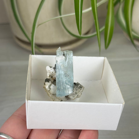 Aquamarine Specimen 266 2 - Kenna's Crystals from TikTok