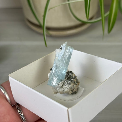 Aquamarine Specimen 388 3 - Kenna's Crystals from TikTok