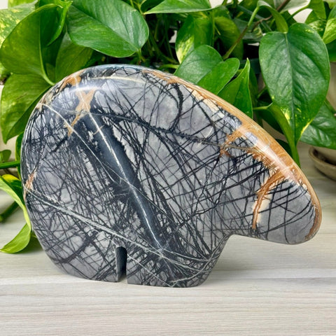 Arizona The Bear 1 - Kenna's Crystals from TikTok