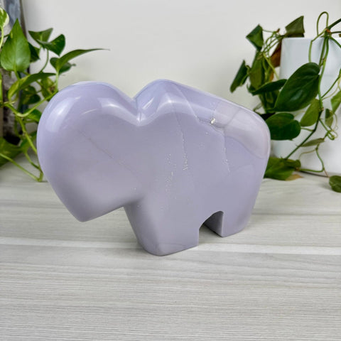 Armando The Bison 1 - Kenna's Crystals from TikTok