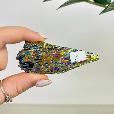 Aura Kyanite