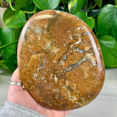 Autumn Agate Flat Stone 1 - Kenna's Crystals from TikTok