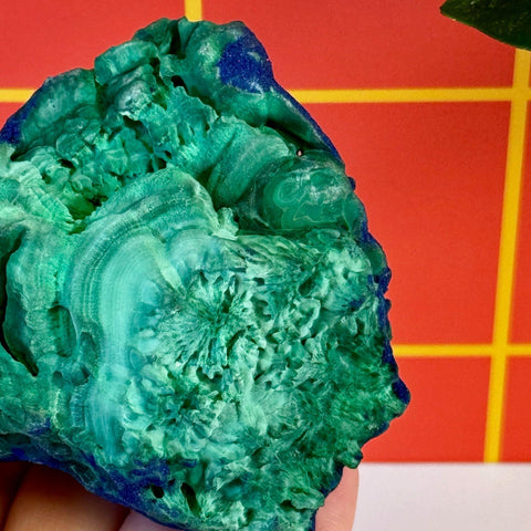 Vibrant green velvet malachite with deep blue azurite accents, showcasing natural textures and patterns.